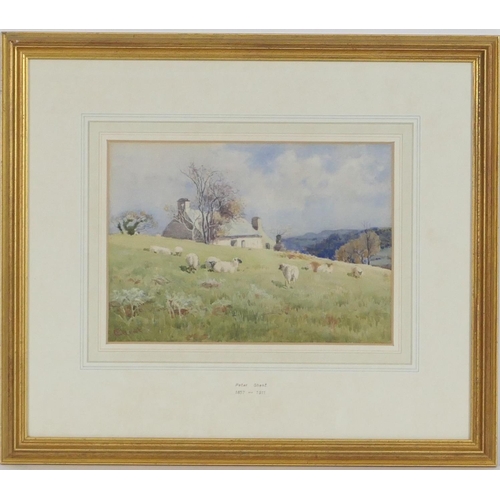 443 - Peter Ghent (1856-1911), Crofter's cottage with sheep grazing, signed watercolour, 18cm x 25cm