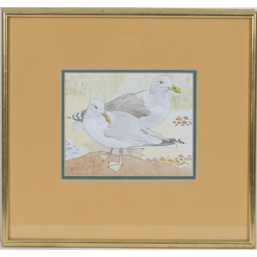 514 - 'Ionicus' Joshua Charles Armitage (1913-98), Pair, 'Herring Gulls' and 'Shelduck with  Oystercatcher... 