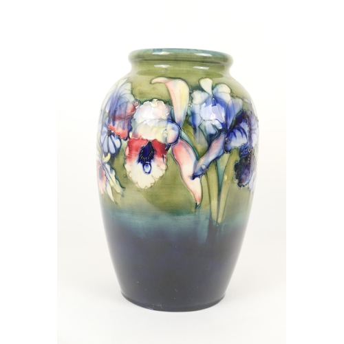 62 - Large Moorcroft frilled and slipper orchids vase, circa 1953, ovoid form, the flowers picked out in ... 