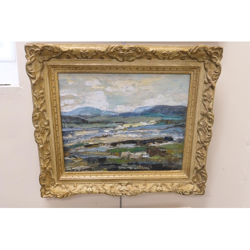 517 - Irish School (20th Century), Boglands, heavy impasto oil on board, unsigned, 31cm x 38cm