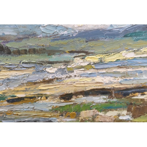 517 - Irish School (20th Century), Boglands, heavy impasto oil on board, unsigned, 31cm x 38cm