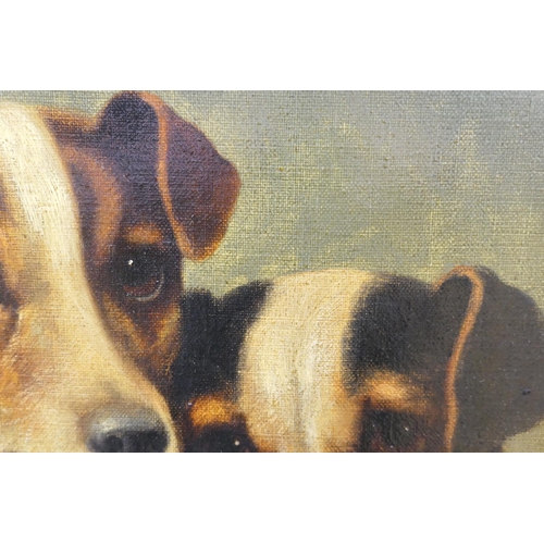 464 - Charles Dudley (late 19th Century), Pa, Ma and I, a study of Jack Russell terriers, signed oil on ca... 