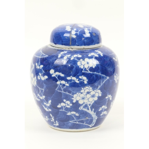 6 - Chinese blue and white prunus pattern ginger jar and cover, Kangxi four character mark (extensive da... 