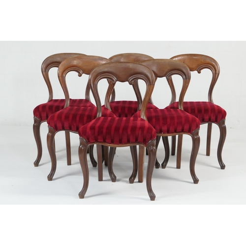 937 - Set of six Victorian mahogany balloon back dining chairs, red fabric stuffover seats, raised on Fren... 