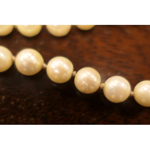 376 - Cultured pearl double strand choker necklace, the pearls of uniform size and colour, united by a pen... 