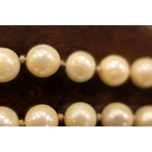 376 - Cultured pearl double strand choker necklace, the pearls of uniform size and colour, united by a pen... 