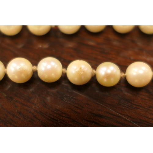 376 - Cultured pearl double strand choker necklace, the pearls of uniform size and colour, united by a pen... 