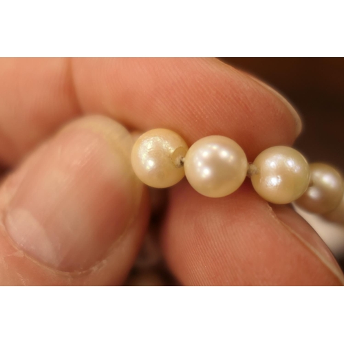 376 - Cultured pearl double strand choker necklace, the pearls of uniform size and colour, united by a pen... 