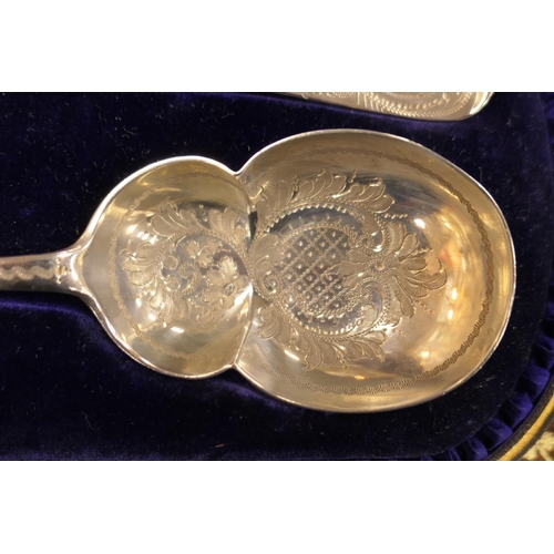 118 - Pair of late Victorian engraved silver fruit spoons, maker GJ/DF, London 1899, engraved throughout w... 