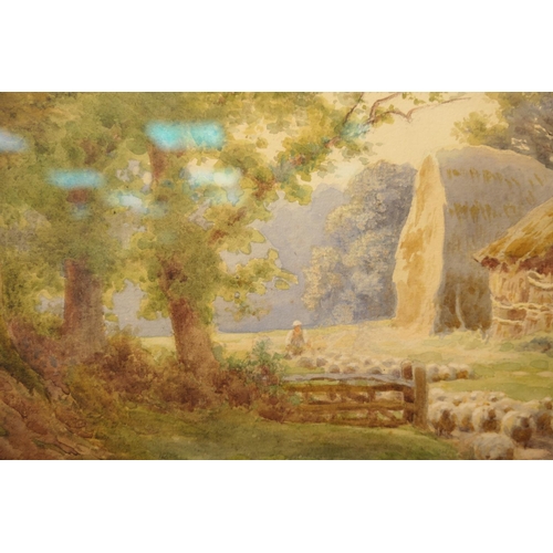 526 - Charles James Adams (1859-1931), Droving sheep in a summer landscape, watercolour, signed, 28cm x 39... 