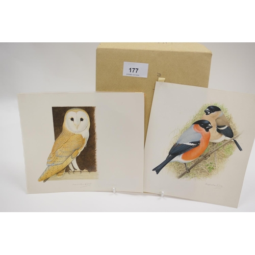 177 - Malcolm Ellis (contemporary), two ornithological studies 'Bullfinch' and 'Barn Owl', watercolour and... 