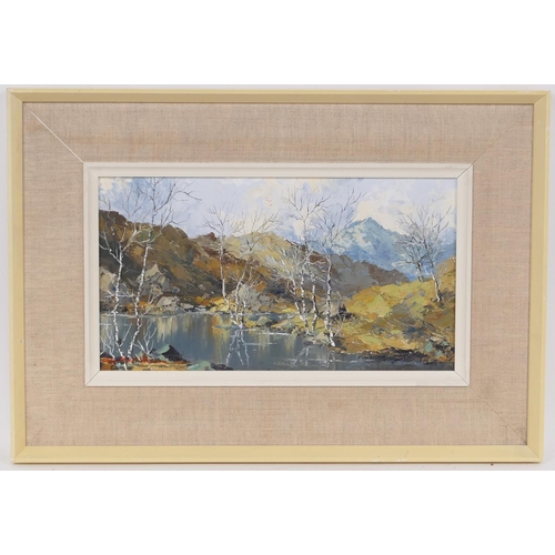 287 - Charles Wyatt Warren (1908-93), Pair, Llyn Peris, Snowdon, and Moel Siabod from the river, signed oi... 