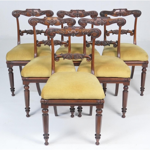 703 - Good set of six George IV goncalo alves dining chairs, circa 1825, the top rails carved with acanthu... 