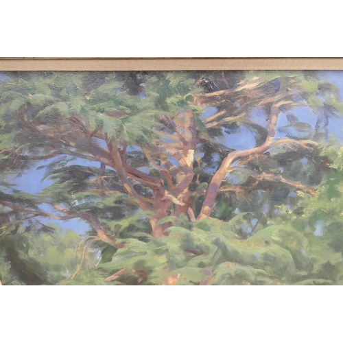 272 - Amy Katherine Browning (1881-1970), Cedar tree of Lebanon, signed oil on canvas, labelled verso, 64c... 