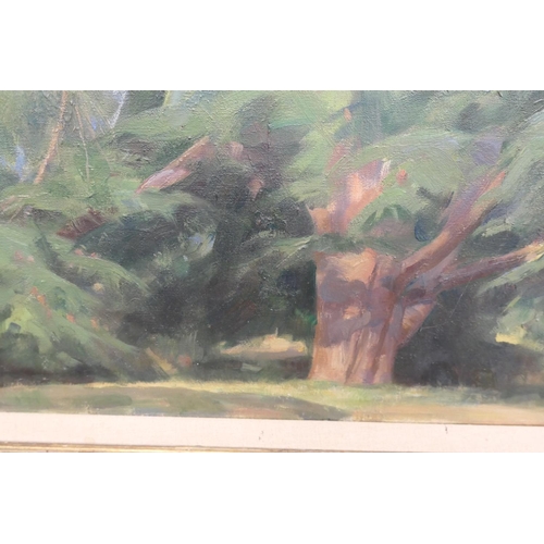 272 - Amy Katherine Browning (1881-1970), Cedar tree of Lebanon, signed oil on canvas, labelled verso, 64c... 