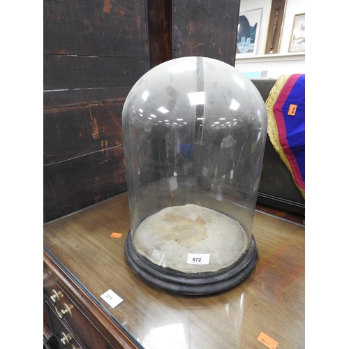 572 - Victorian glass dome on ebonised base, the dome only 25cm diameter, height 39cm