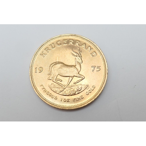 255 - South Africa, Krugerrand 1975, 1oz fine gold (.917 gold), 32mm, weight approx. 33.93g