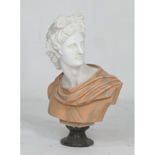 782 - Italian carved marble bust of Apollo, 20th Century, height 80cm, width 58cm