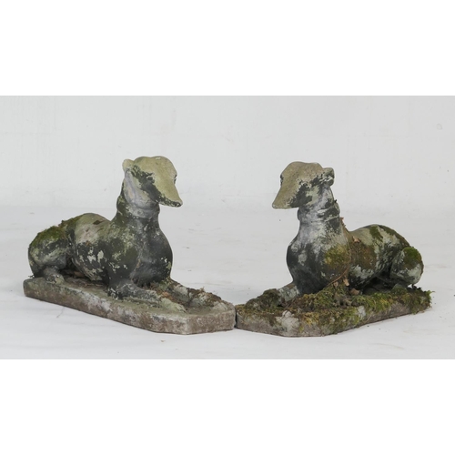 965 - Pair of weather reconstituted stone recumbent hound garden ornaments, length 67cm, height 42cm