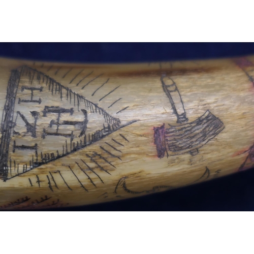 869 - Masonic interest: Ox horn powder flask, scrimshawed throughout with Masonic symbols, 35cm