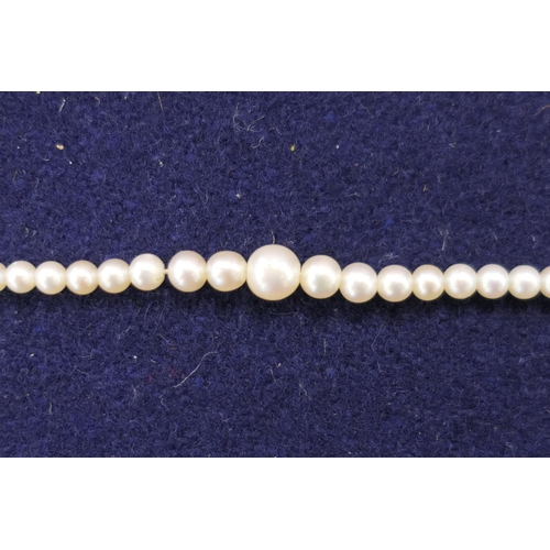 175 - Single string of graduating untested pearls, the largest being approx. 5mm diameter, graduating quic... 