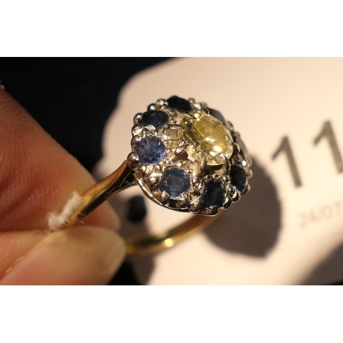 118 - Diamond and sapphire cluster ring, centred with an old cut round diamond of approx. 0.75ct, estimate... 