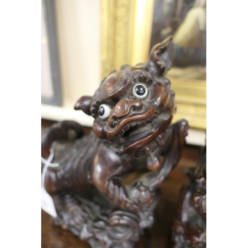 835 - Pair of Chinese carved hardwood Dogs of Fo, late 19th/early 20th Century, with original glass eyes, ... 