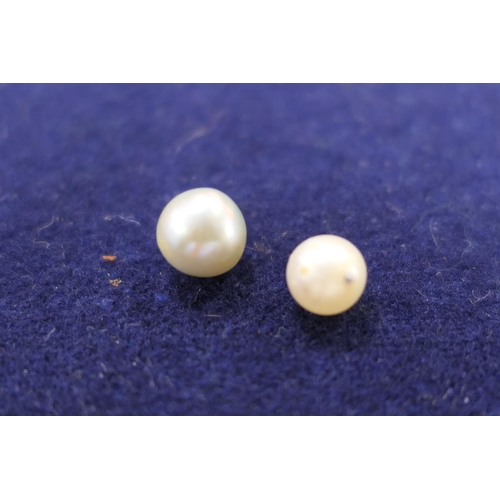 194 - Two saltwater pearls, approx. 8mm and 6mm diameter