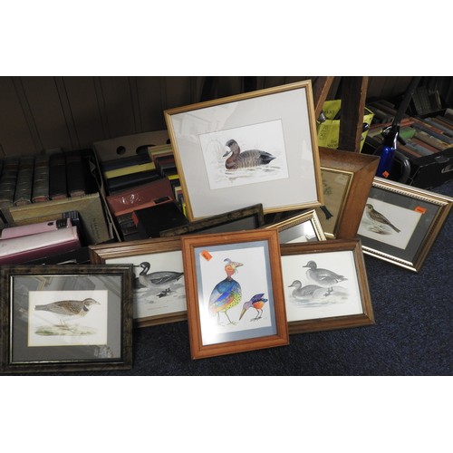 50A - Small number of framed ornithological prints