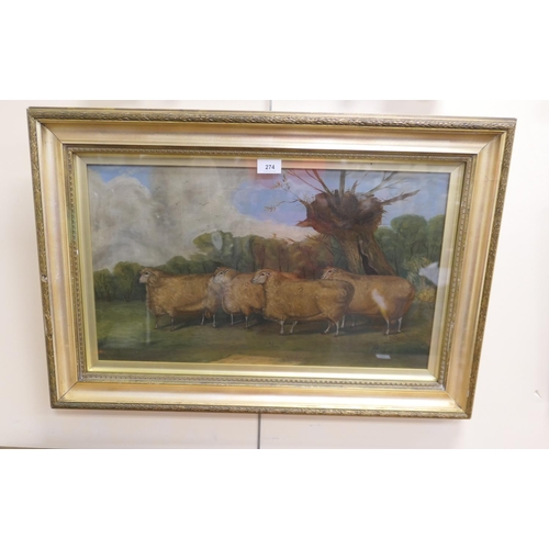 274 - Follower of Whitford, specimen sheep in a landscape, oil on canvas bearing a signature, 34cm x 59cm