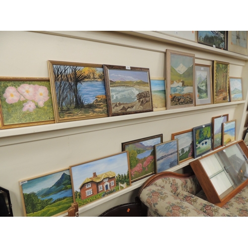 339 - Quantity of framed oil paintings and a framed watercolour (17)