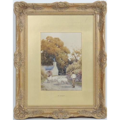 106 - Peter Ghent (1856-1911), Herding sheep on a country lane, watercolour, signed, 25cm x 18cm