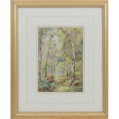 132 - Charles B Dickins (late 19th Century), Pair 'The Woods, Bidston' and 'Bidston Hill', signed watercol... 