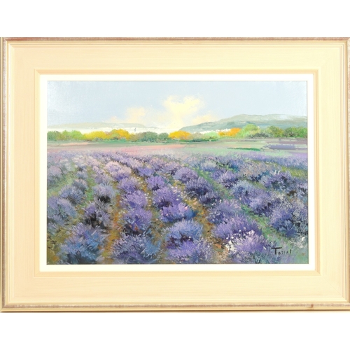 139 - Torres (Contemporary), Lavender Fields, oil on canvas, signed, 46cm x 65cm
Provenance: Demonfort Fin... 