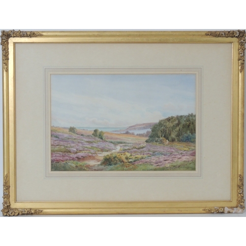 163 - Charles Bumpus Dickins (1871-?), Heathland landscape, watercolour, signed, 30cm x 45cm