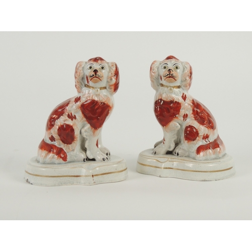 19 - Pair of Staffordshire pearlware spaniels, early 19th Century, decorated with terracotta sunburst pat... 