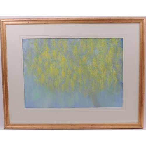 154 - Eiko Yoshimoto (b.1937), Laburnum, pastel drawing, signed, 48cm x 68cm