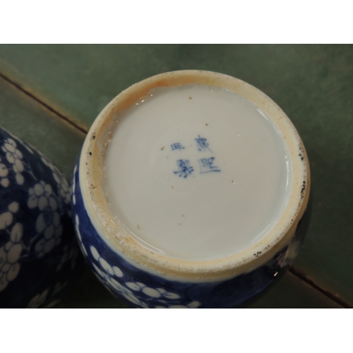 11 - Pair of Chinese blue and white prunus pattern ovoid jars, late 19th Century, painted four character ... 