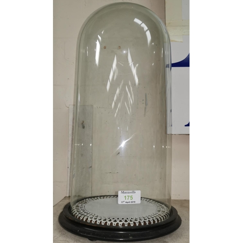 175 - A cylindrical glass dome on ebonised base
