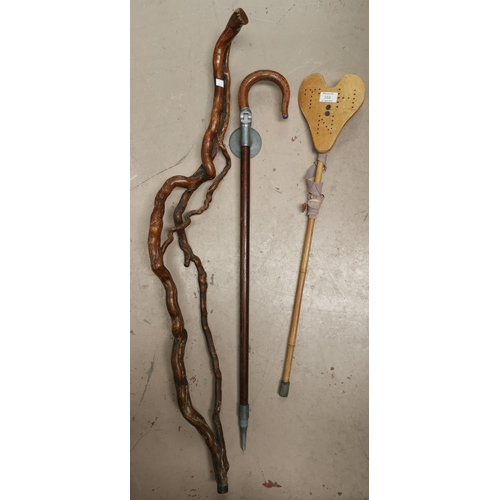 388 - A 19th century polished vine walking stick; 2 shooting sticks