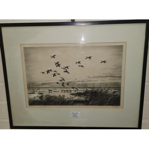 465 - Peter Scott:  Waterfowl taking flight, signed etching, 9.5