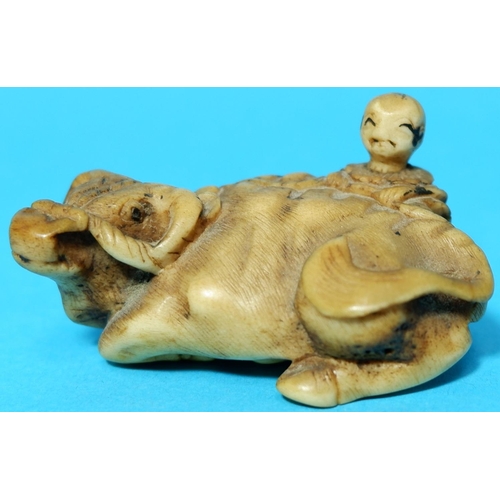 455 - A Meiji period netsuke depicting a badger reclining on a large gourd, character signature to base