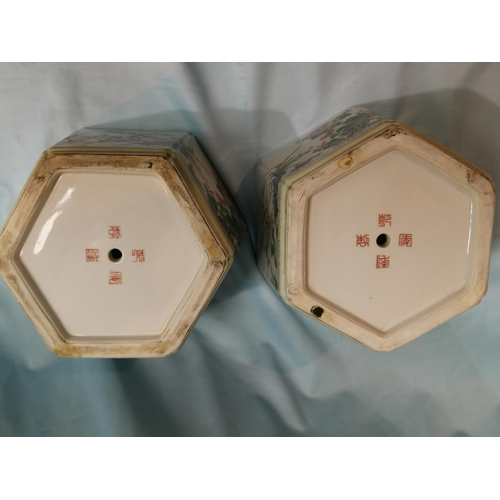 258a - A pair of Chinese hexagonal 