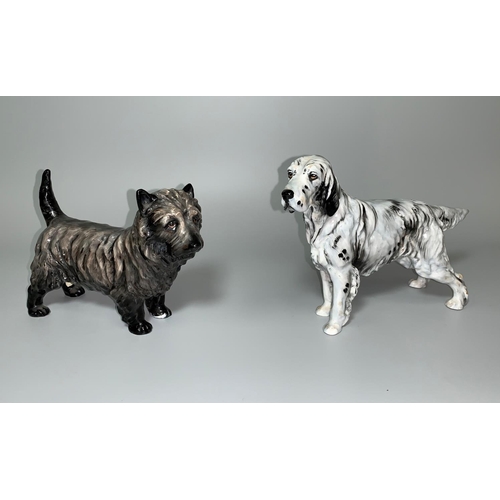 154 - A Royal Doulton English Setter HN1050 and another; a Cairn Terrier HN1034