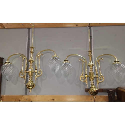 464 - A pair of brass pendant lights, 2 branch with pear shaped shades