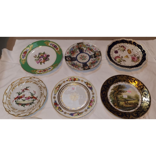 231 - Ten early/mid 19th century dessert plates/dishes, hand painted in polychrome with flowers, exotic bi... 