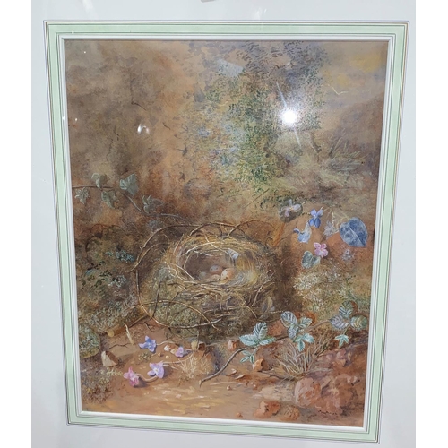 477 - M.B. English 19th Century:  watercolour, bird's nest in foliage, signed M.B. and dated 1879, 32 x 25... 