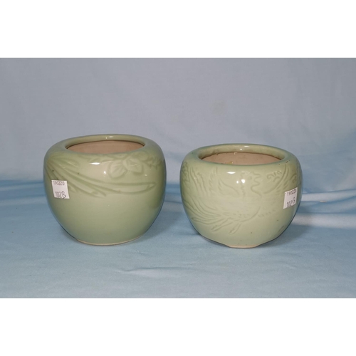 102b - A Chinese celadon glaze bowl, sgraffito decoration of birds, diameter 12 cm; another similar