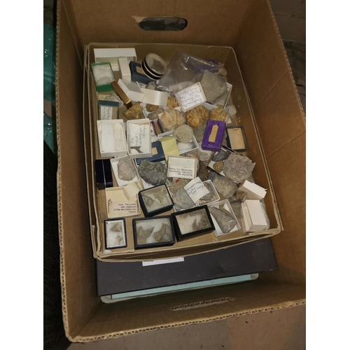499 - A large selection of fossils ad coral contained in a 6 drawers chest and other display boxes