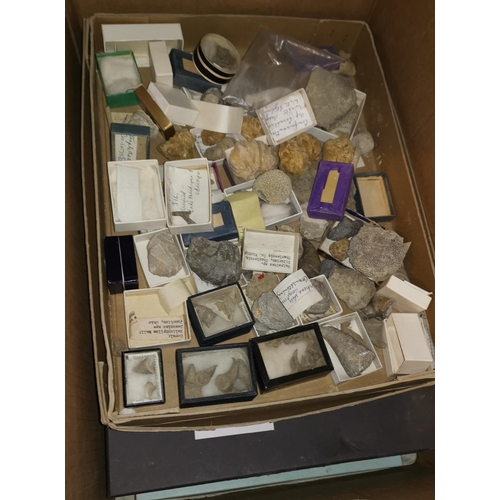 499 - A large selection of fossils ad coral contained in a 6 drawers chest and other display boxes